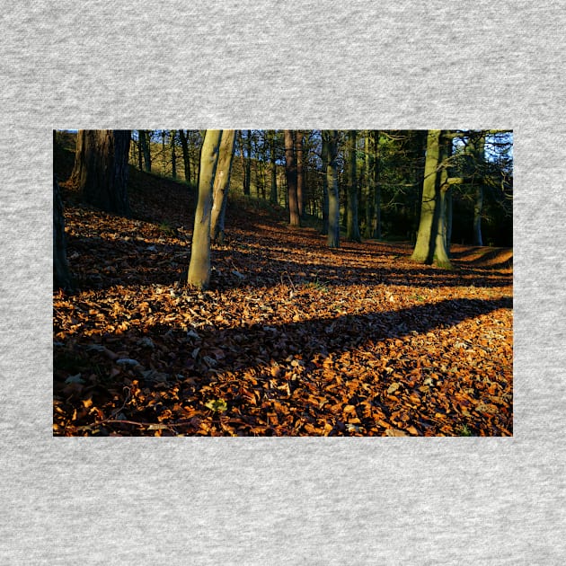 Carpet Of Red by StephenJSmith